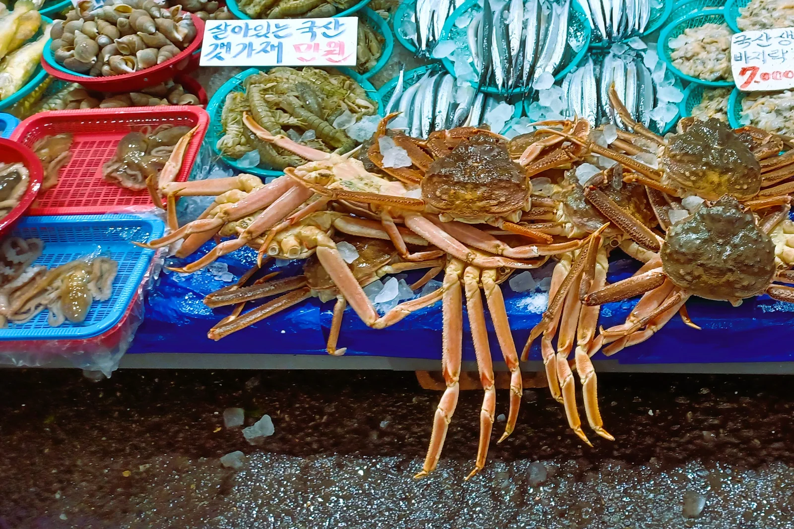 Visitors walking through Mangwon Market in Seoul